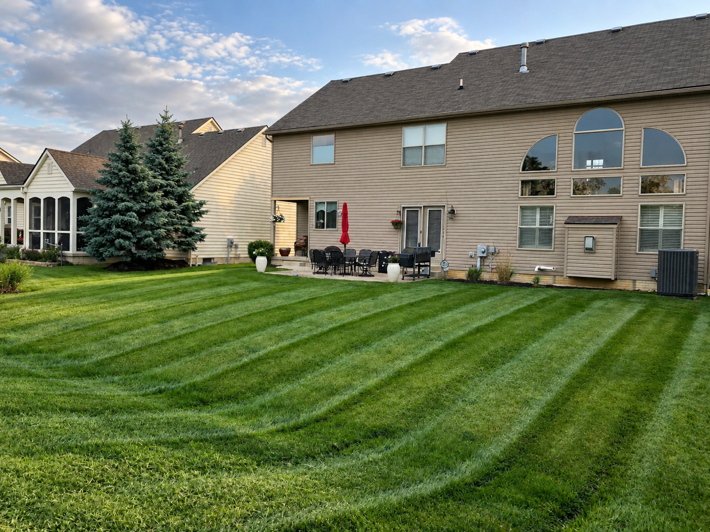 TNT Landscaping project 4